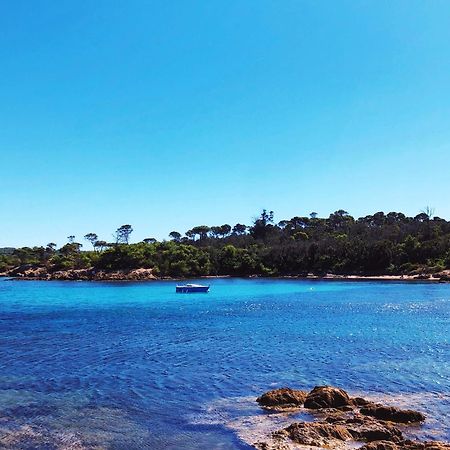 T2 Avec Terrasse & Parking A 5 Min Du Centre, 10 Min Des Plages Hyères Zewnętrze zdjęcie