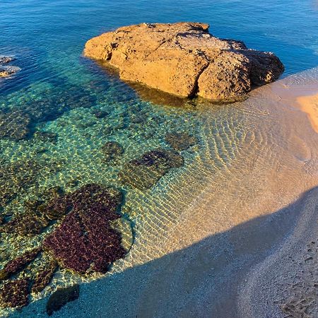 T2 Avec Terrasse & Parking A 5 Min Du Centre, 10 Min Des Plages Hyères Zewnętrze zdjęcie